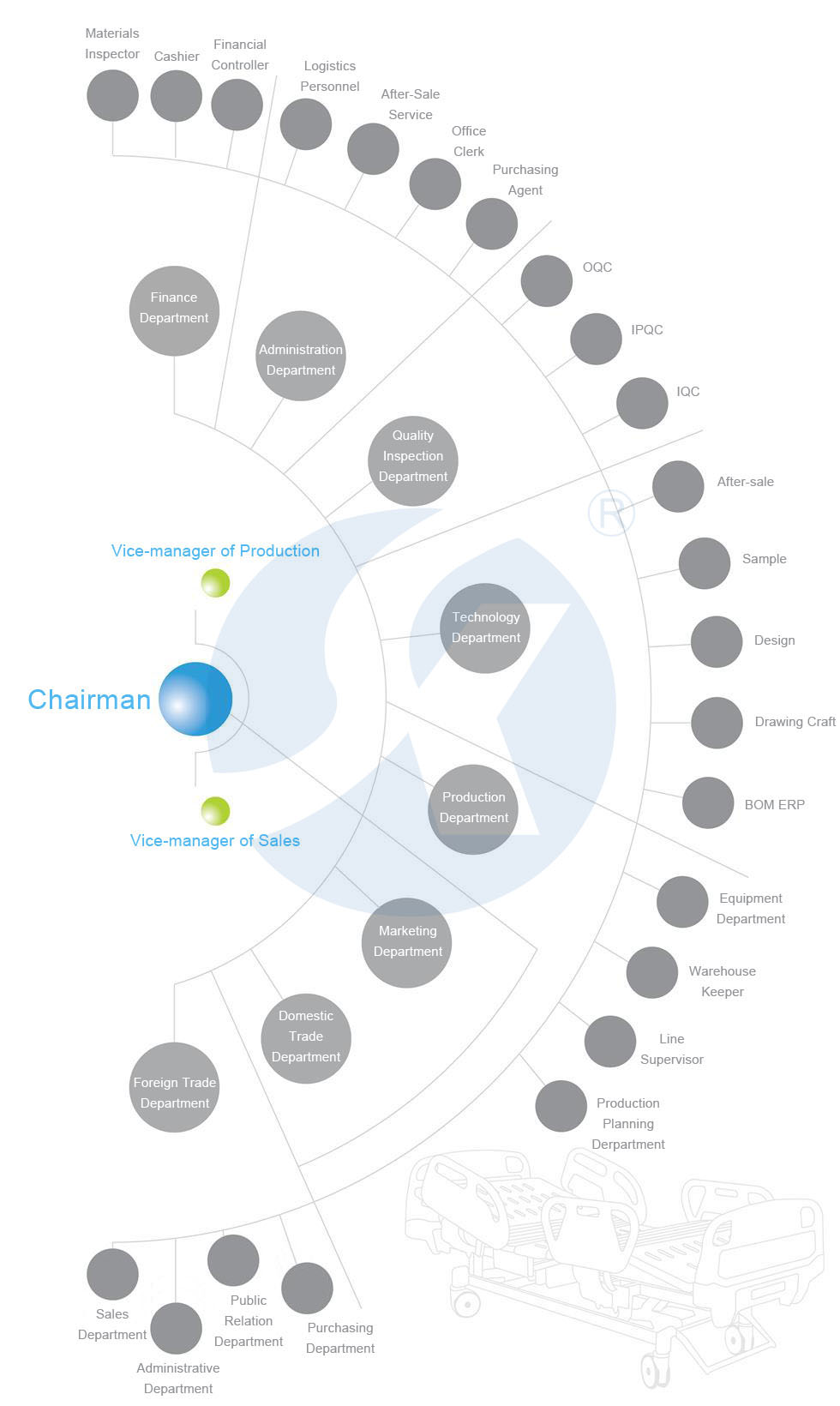 Company Organization